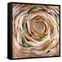 Solar Ring-Rikki Drotar-Framed Stretched Canvas