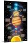 Solar System 2023-Trends International-Mounted Poster