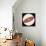 Solar System, Apparent Solar Motion, Astronomy Diagram-null-Framed Stretched Canvas displayed on a wall