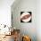 Solar System, Apparent Solar Motion, Astronomy Diagram-null-Stretched Canvas displayed on a wall