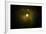 Solar System, Artwork-null-Framed Photographic Print