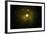 Solar System, Artwork-null-Framed Photographic Print