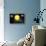 Solar System, Artwork-null-Framed Photographic Print displayed on a wall