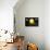 Solar System, Artwork-null-Photographic Print displayed on a wall