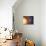Solar System Orbits, Artwork-Detlev Van Ravenswaay-Premium Photographic Print displayed on a wall