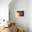 Solar System Orbits, Artwork-Detlev Van Ravenswaay-Framed Premium Photographic Print displayed on a wall