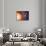 Solar System Orbits, Artwork-Detlev Van Ravenswaay-Photographic Print displayed on a wall