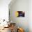 Solar System Planets-Jose Antonio-Premium Photographic Print displayed on a wall