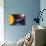 Solar System Planets-Jose Antonio-Mounted Premium Photographic Print displayed on a wall