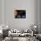 Solar System Planets-null-Mounted Photographic Print displayed on a wall