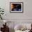 Solar System Planets-null-Framed Photographic Print displayed on a wall