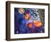 Solar System-Mehau Kulyk-Framed Premium Photographic Print