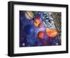 Solar System-Mehau Kulyk-Framed Premium Photographic Print