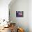 Solar System-Mehau Kulyk-Premium Photographic Print displayed on a wall