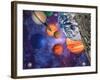 Solar System-Mehau Kulyk-Framed Photographic Print