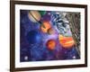 Solar System-Mehau Kulyk-Framed Photographic Print