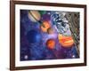 Solar System-Mehau Kulyk-Framed Photographic Print