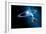 Solar System-Detlev Van Ravenswaay-Framed Photographic Print