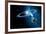 Solar System-Detlev Van Ravenswaay-Framed Photographic Print