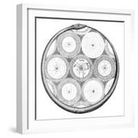 Solar System-Science, Industry and Business Library-Framed Photographic Print