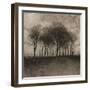 Solar Trees-Pete Kelly-Framed Giclee Print