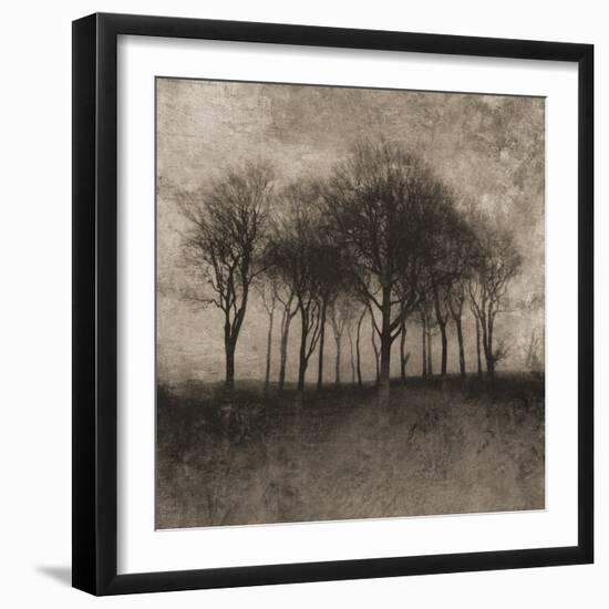 Solar Trees-Pete Kelly-Framed Giclee Print