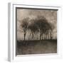 Solar Trees-Pete Kelly-Framed Giclee Print