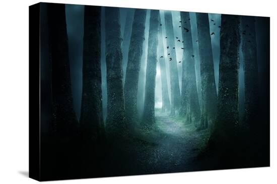 Stretched Canvas Print, , large