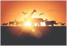 Sunset Safari-Solarseven-Framed Poster