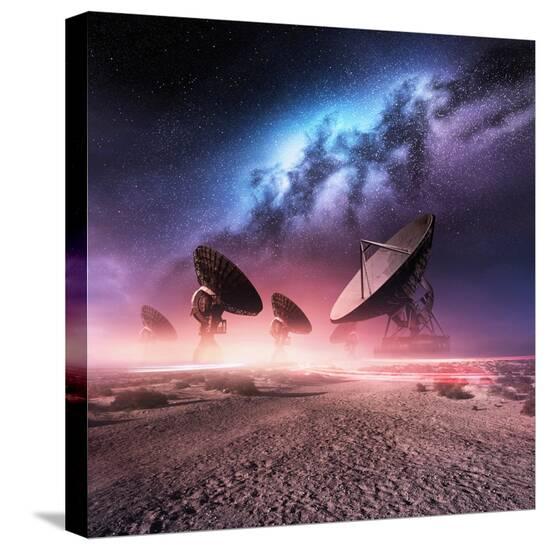 Stretched Canvas Print, , large