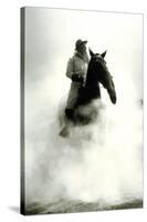 Soldier and Horse Wearing a Gas Mask During the Battle of Verdun, 1916-null-Stretched Canvas