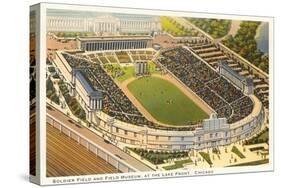 Soldier Field and Field Museum, Chicago, Illinois-null-Stretched Canvas