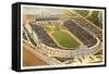 Soldier Field and Field Museum, Chicago, Illinois-null-Framed Stretched Canvas