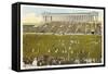 Soldier Field, Chicago, Illinois-null-Framed Stretched Canvas