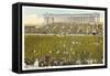 Soldier Field, Chicago, Illinois-null-Framed Stretched Canvas