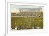 Soldier Field, Chicago, Illinois-null-Framed Art Print