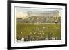 Soldier Field, Chicago, Illinois-null-Framed Art Print