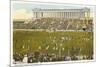 Soldier Field, Chicago, Illinois-null-Mounted Art Print