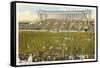 Soldier Field, Chicago, Illinois-null-Framed Stretched Canvas