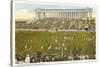 Soldier Field, Chicago, Illinois-null-Stretched Canvas