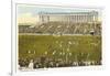 Soldier Field, Chicago, Illinois-null-Framed Art Print