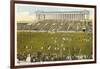 Soldier Field, Chicago, Illinois-null-Framed Art Print