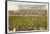 Soldier Field, Chicago, Illinois-null-Framed Stretched Canvas