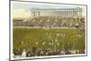 Soldier Field, Chicago, Illinois-null-Mounted Art Print