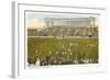 Soldier Field, Chicago, Illinois-null-Framed Art Print