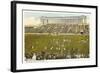 Soldier Field, Chicago, Illinois-null-Framed Art Print