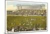 Soldier Field, Chicago, Illinois-null-Mounted Art Print