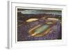 Soldier Field, Chicago, Illinois-null-Framed Art Print