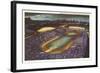 Soldier Field, Chicago, Illinois-null-Framed Art Print