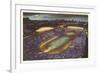 Soldier Field, Chicago, Illinois-null-Framed Premium Giclee Print